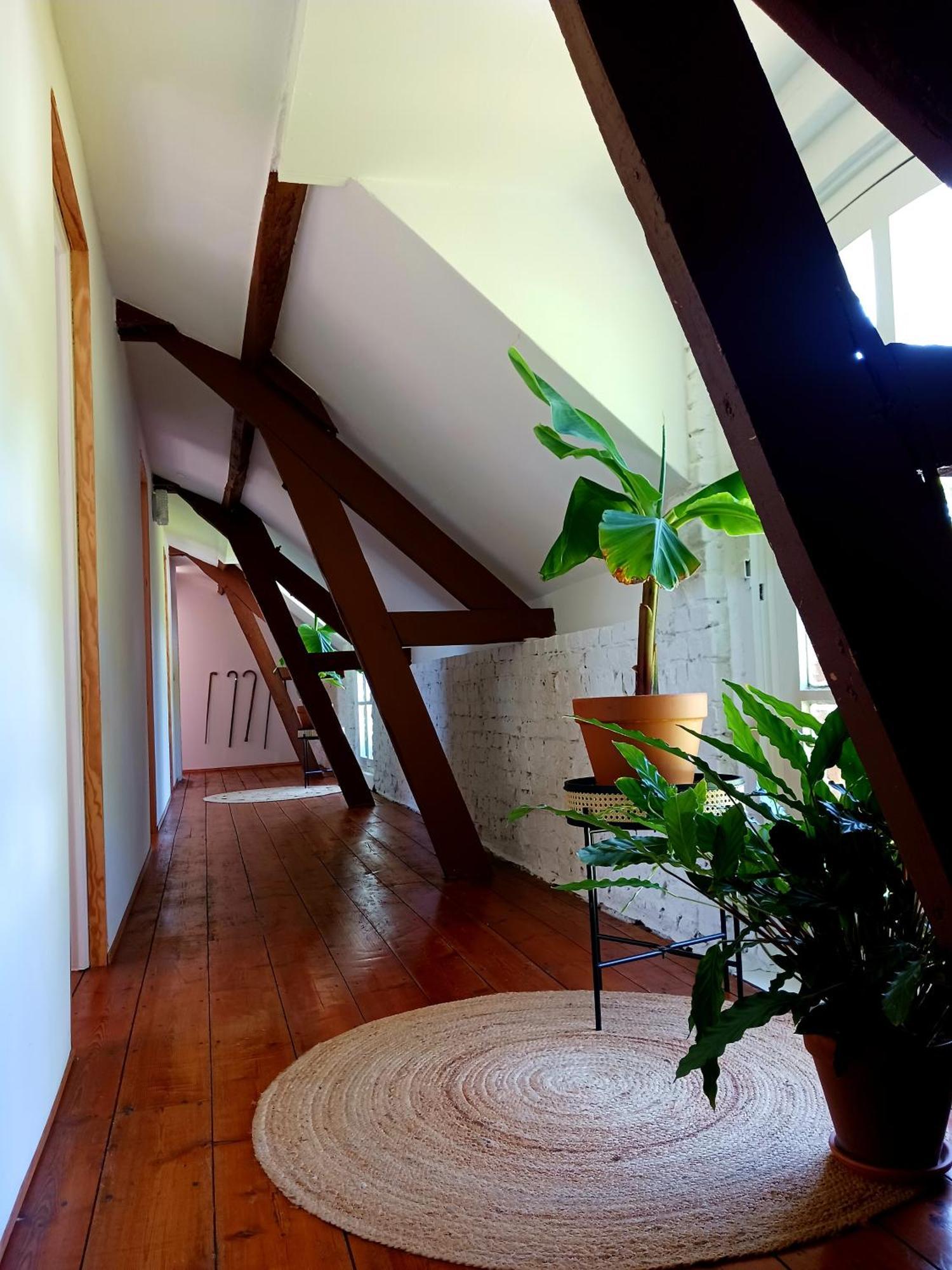 Chateau Machiel Exteriér fotografie